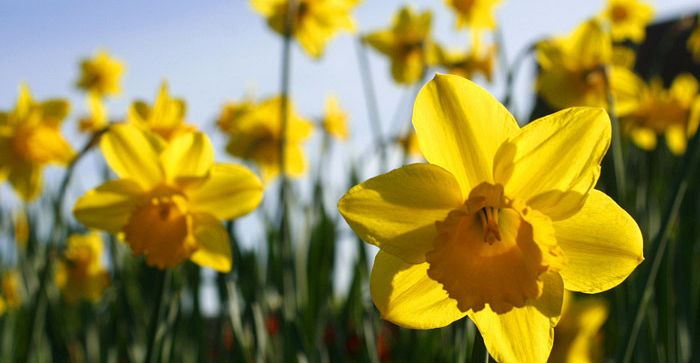 Noosa Shines in Spring