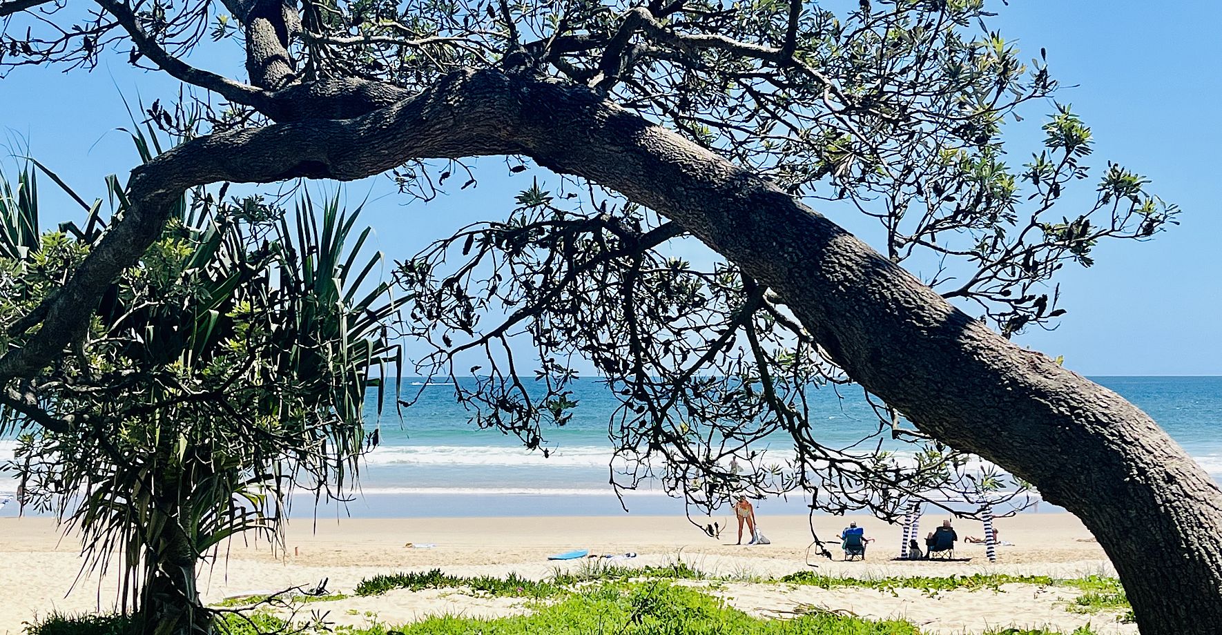 Noosa Property 2024!